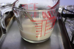 yeast1