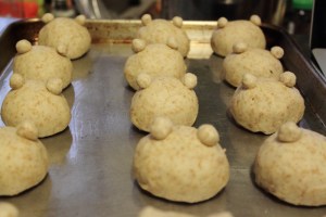 bear buns2