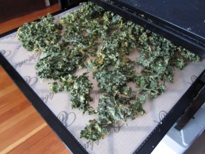 Kale chips