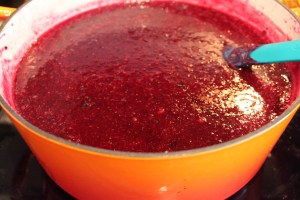 blueberryapplejam22
