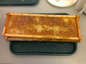 Processed with VSCOcam