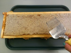 Processed with VSCOcam