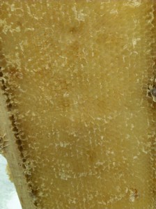 Processed with VSCOcam