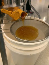 Processed with VSCOcam