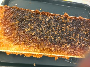 Processed with VSCOcam