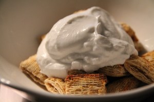 coconut yogurt5