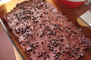 peanutbutterbrownie6