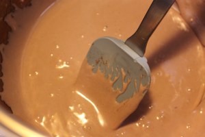 ricecrispiesqaures71