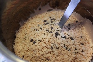ricecrispiesquares8