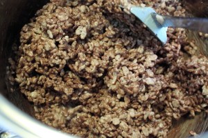 ricecrispiesquares9