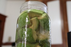 pickled avocado 4