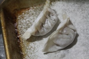 gyoza20