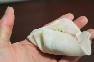 gyoza21